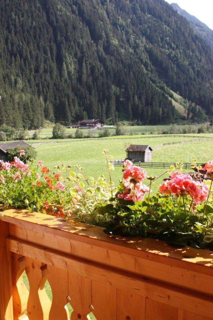 Landhaus Alpensonne ノイシュティフト・イム・シュトゥーバイタール エクステリア 写真