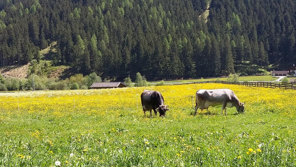 Landhaus Alpensonne ノイシュティフト・イム・シュトゥーバイタール エクステリア 写真