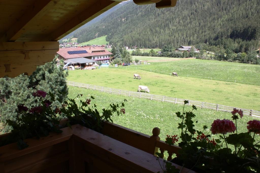 Landhaus Alpensonne ノイシュティフト・イム・シュトゥーバイタール エクステリア 写真
